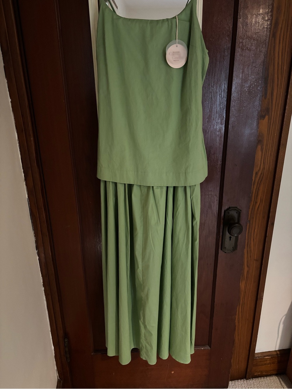 Camila Coelho Light Sage Green Sleeveless Pleated Maxi Dress